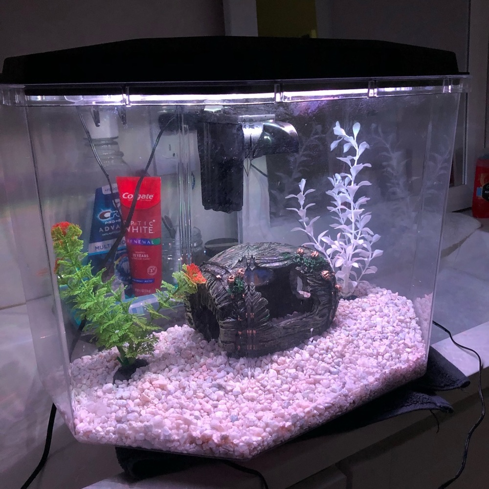 6.7 gallon fish tank (like new)
